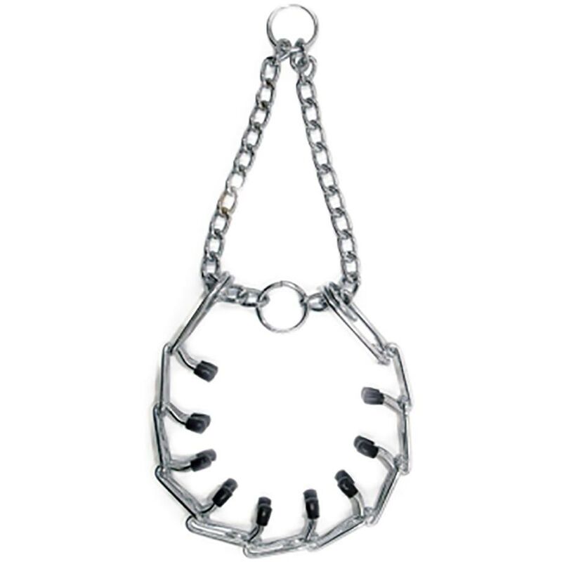 

Collar Perro Educativo 115301=6590 - Arppe