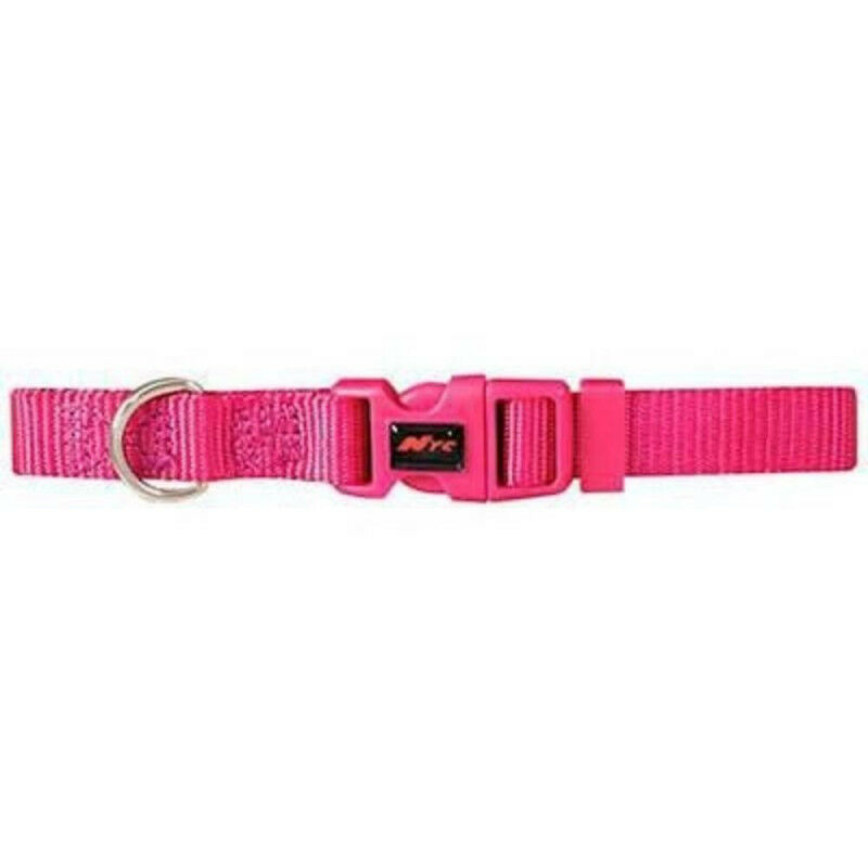 

Collar Perro Fucsia - 33-40Cm