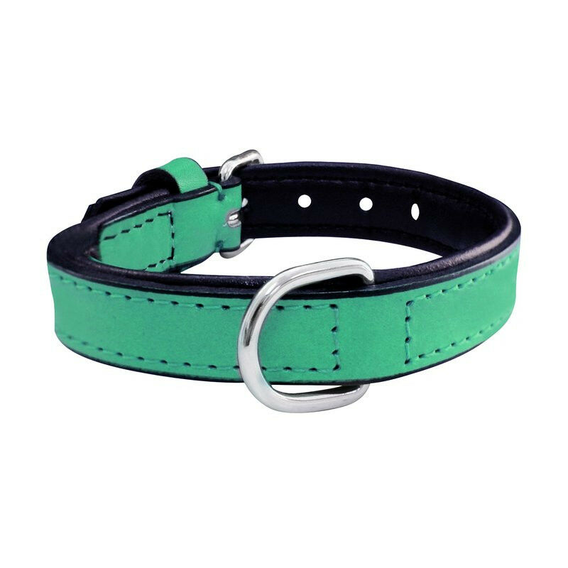 

COLLAR PERRO PIEL ACOLCHADO 40CM - turquesa