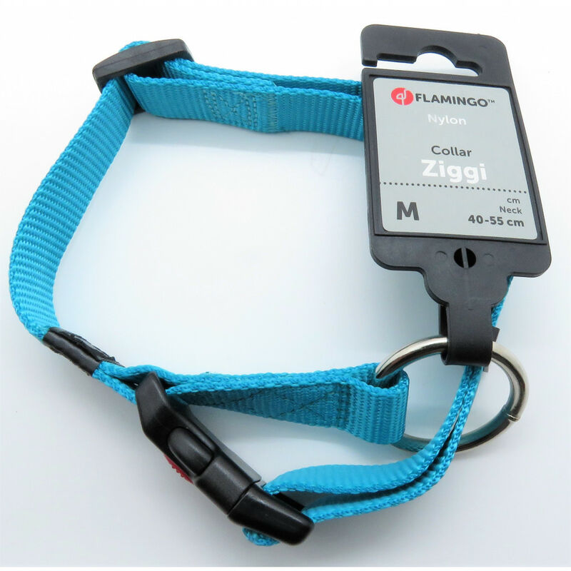 

Collar Ziggi turquesa 40 -55 cm. 20 MM . tamaño M. para el perro.