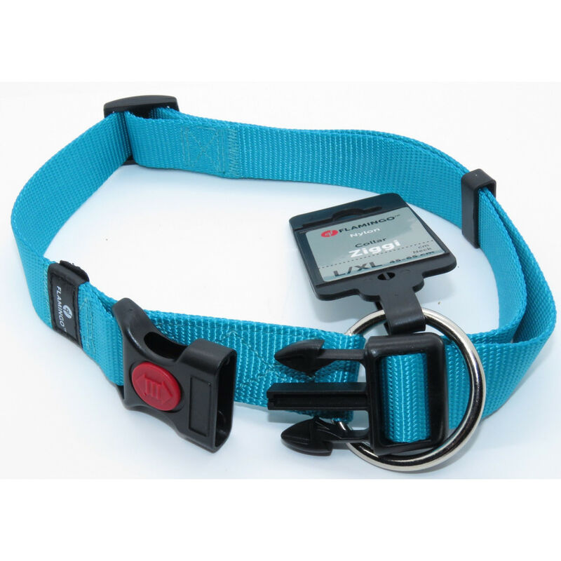 

Collar Ziggi turquesa 45 -65 cm. 25 MM . tamaño L/XL. para perro.