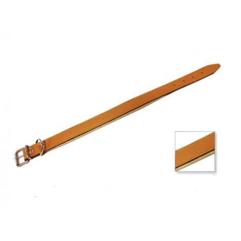 Collare Cani Cuoio Imbottito Mm 20 Cm 46