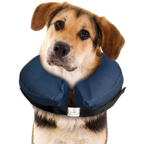 Collare di protezione per animali cani gatti gonfiabile taglia m