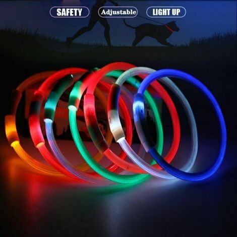 Collare di sicurezza per cani con LED ricaricabile tramite USB, lampeggiante per visione notturna - Taglia L