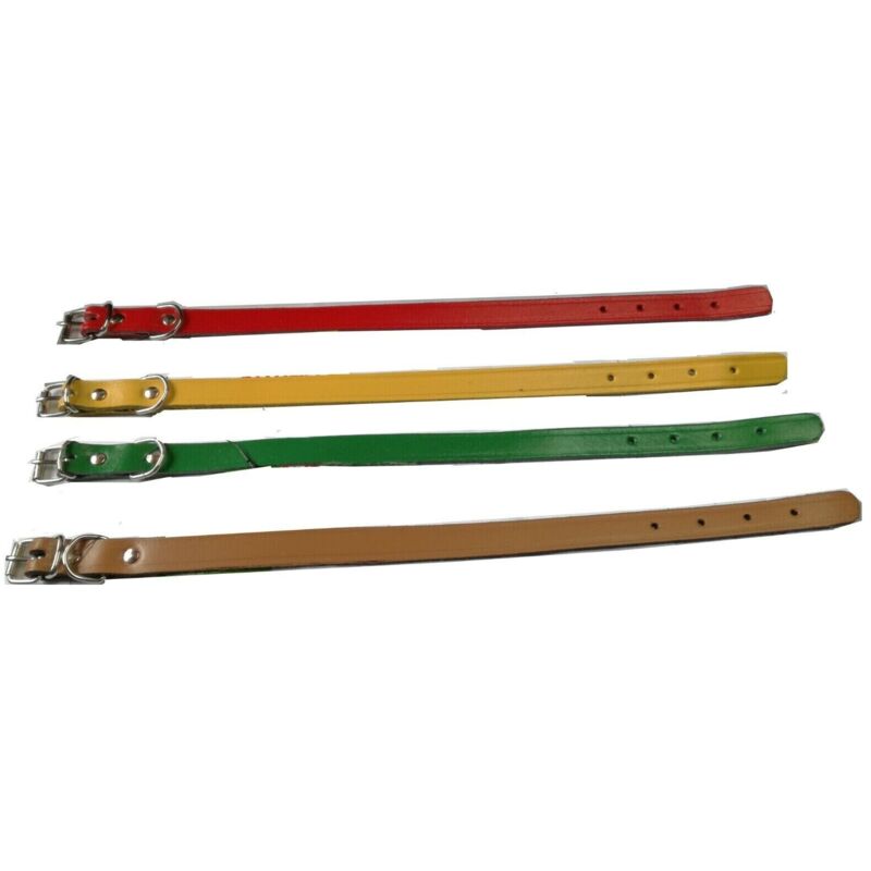 Collare in cuoio per cani cane cm 37x1,6 collarino colori assortiti