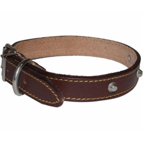 Collare in Cuoio con Borchie per Cani di Grossa Taglia 40x650 mm