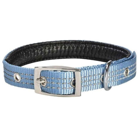 Collare in nylon blu modello Renfort per cani: Collare blu 2,5 x 42-70 cm