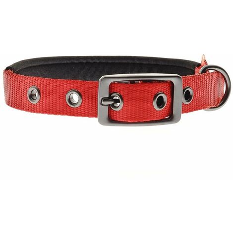Collare in nylon con imbottitura in neoprene per cani: 2,5 x 75 cm - rosso