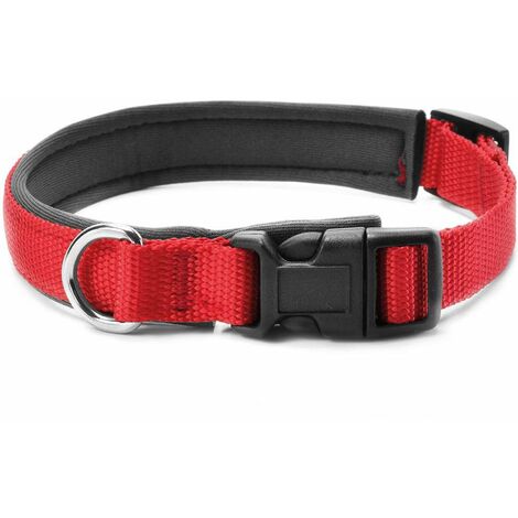 Collare in nylon con rivestimento in neoprene e clip in plastica per cani : 2,5 x 50-70 cm collare - blu