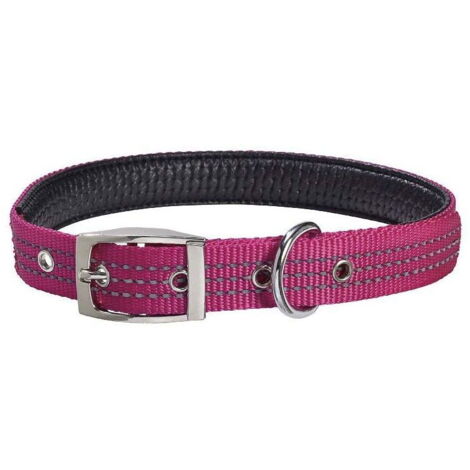Collare in nylon fucsia modello Renfort per cani: Collare fucsia 2,5 x 42-70 cm
