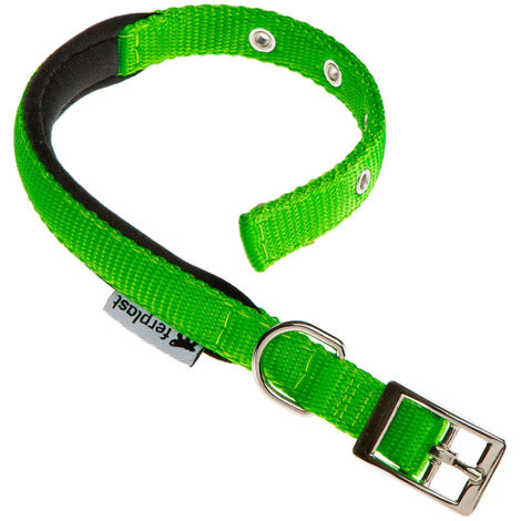 collare in nylon modello c20/43 imbottito per cane in colore verde.