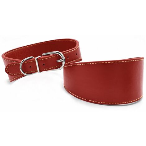 Collare in similpelle modello Solid ideale per levrieri: 5 x 28-36 cm collare - rosso