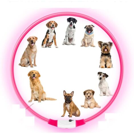 Collare per animali domestici AUAUY con luci LED, ricaricabile tramite USB, removibile, impermeabile, regolabile, per cani e gatti di piccola, media e grande taglia (rosa)