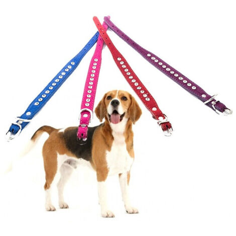 Collare Per Cane Cani Con Strass E Brillantini Brillantinato Taglia Piccola
