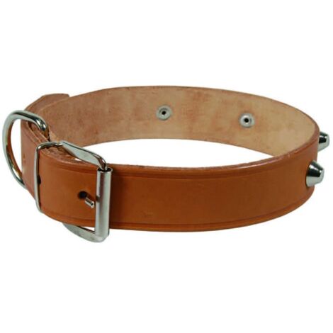 Collare per cani cuoio extra naturale finta cucitura con borchie - Specifiche: cm 51x2,5 cuoio naturale - 6 pz