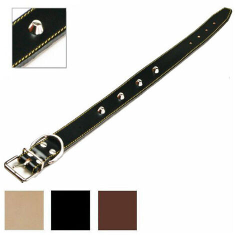 Collare per cani foderato con borchie 25x510 mm