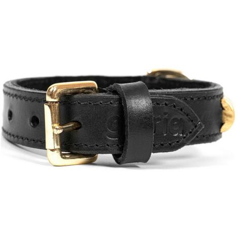 Collare per Cani Gloria Duna Nero Dorato (50 x 2,5 cm)