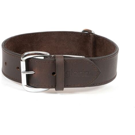 Collare per Cani Gloria Marrone 75 cm (75 x 4 cm)