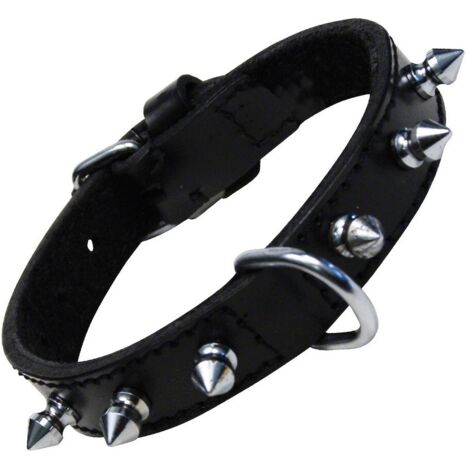 Collare per Cani Gloria Nero Sspuntoni (50 cm)
