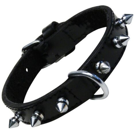 Collare per Cani Gloria Nero Sspuntoni (55 cm)