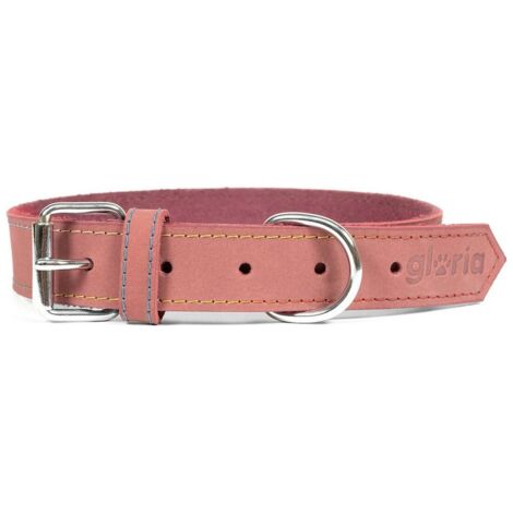 Collare per Cani Gloria Oasis Rosa (50 x 2,1 cm)