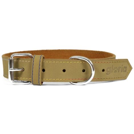 Collare per Cani Gloria Oasis Verde (45 x 1,8 cm)