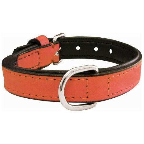 Collare per Cani Gloria Trapunta Corallo (40 x 2 cm)