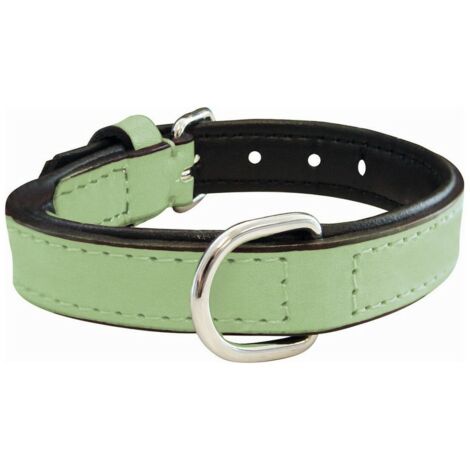Collare per Cani Gloria Trapunta Verde (30 x 1,5 cm)