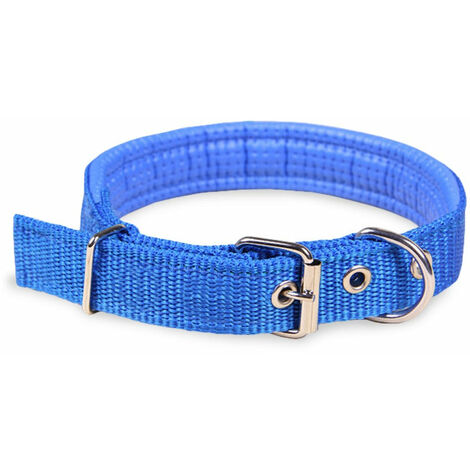 Collare per Cani Phoenix con Fibbia regolabile Razza Piccola in Nylon Regolabile Celeste