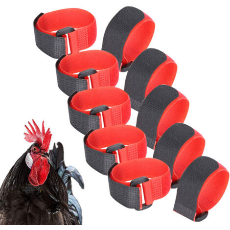 Collare per gallo da 10 pezzi per fermare il canto, collare in nylon anti-inceppamento, collare con cinturino rosso antirumore, collare per pollo per animali domestici