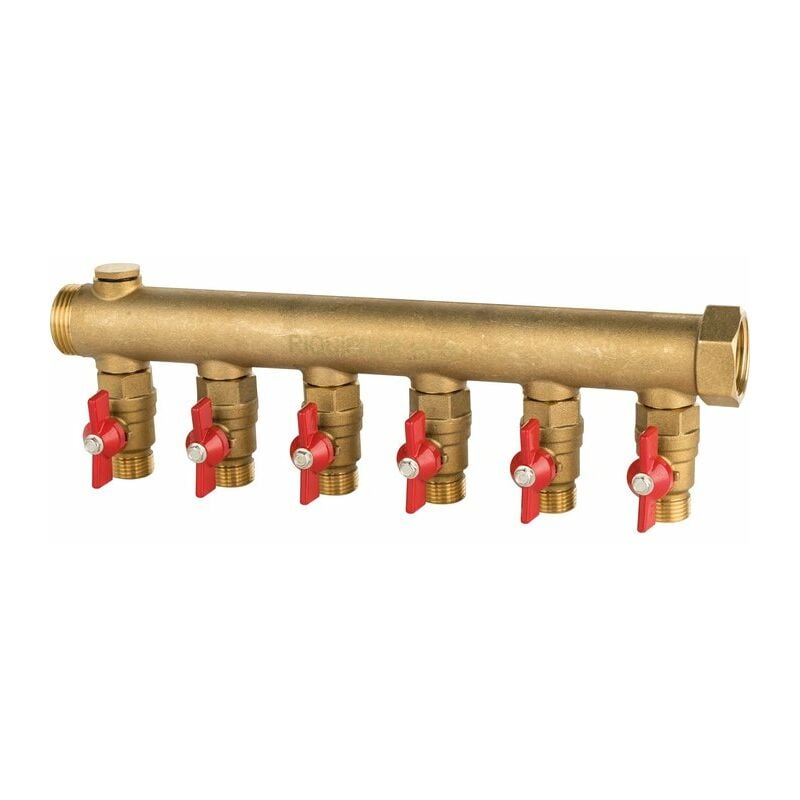 Collecteur 6 sorties Riquier mf 1' - Avec vanne m 1/2'