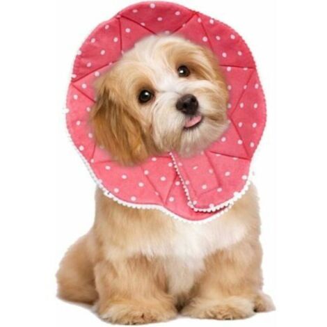 Collerette confortable de post-chirurgie pour chats et chiens, robuste, imperméable, résistante aux griffures et morsures, facile à nettoyer, avec attache ajustable