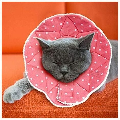 Collerette confortable de post-chirurgie pour chats et chiens, robuste, imperméable, résistante aux griffures et morsures, facile à nettoyer, avec attache ajustable, Ensoleillé