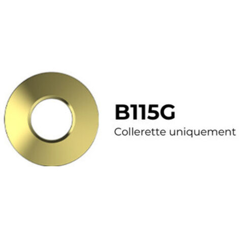 Collerette Or ronde magnétique pour TWO et CANIS - B115G - SOLUM
