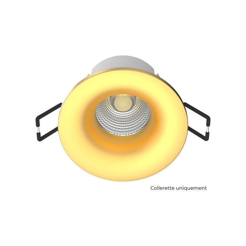 Collerette Ronde Or pour norma - N004G Solum