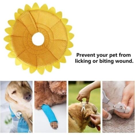 Collerettes pour Chiens Chat Anti-Morsure Protection Ajustable Collier de Récupération Comfy Cone pour Chiens et Chat avec(S)