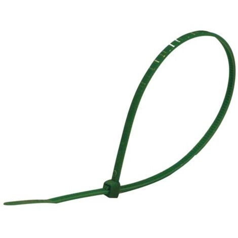 Collier 200x2.5mm Vert 100.sc - Profile