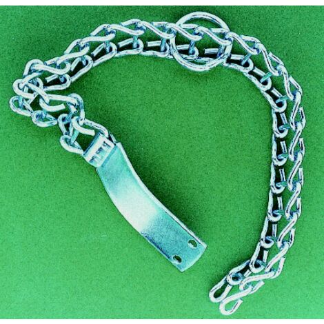 collier A chelle en acier pour chien chien type moyen 55 cm articles animaux