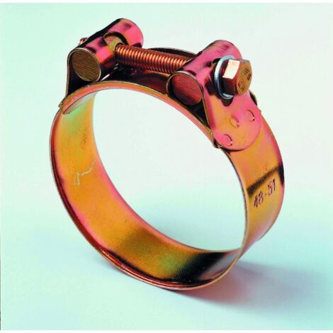 Collier à tourillons ZTOE 25 BC10 - Plage de serrage : 104112 mm - Largeur du collier : 25 mm - SERFLEX