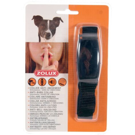 Collier anti aboiement petit chien