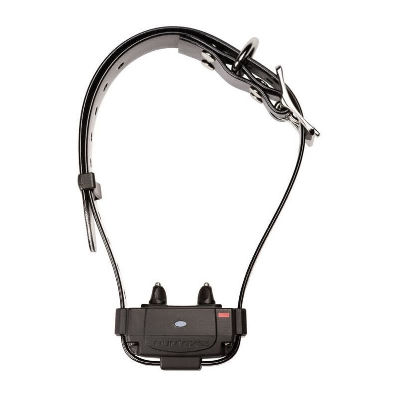 Collier anti-fugue Num'axes canifugue FUG1034 - Noir