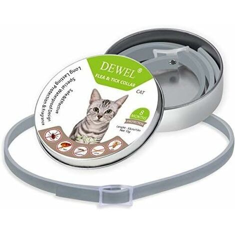 Pilule Contraceptive Pour Chat Femelle A Prix Mini