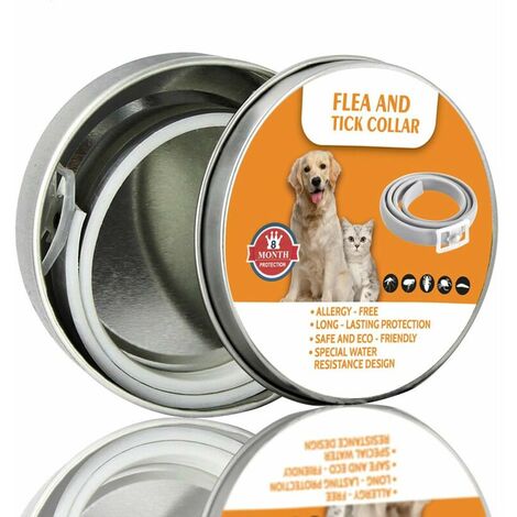 Collier anti-puces et anti-tiques pour chiens et chats, traitement anti-puces et anti-tiques pour chiens et chats, imperméable, naturel, sûr, taille ajustable, protection 8 mois (petit), jaune