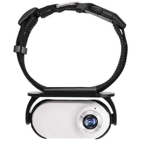 Collier caméra pour chat 1080p, caméra d'action étanche mini pour enregistrements vidéo, blanc