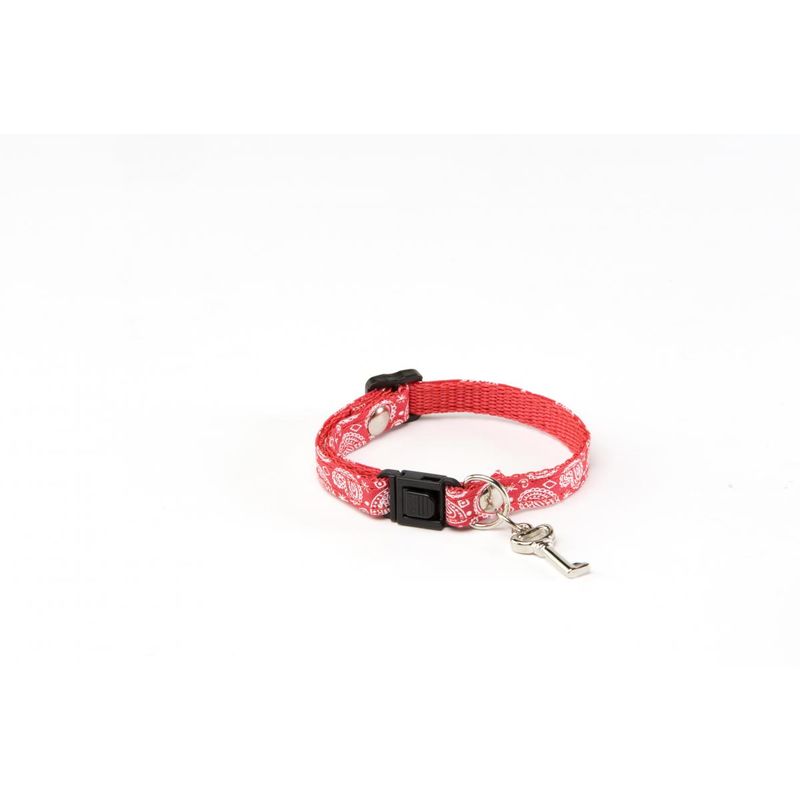 Collier Chat Bandana Rouge D