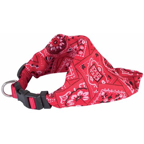 DOOGY CLASSIC chien bandana star bleu Taille : T1