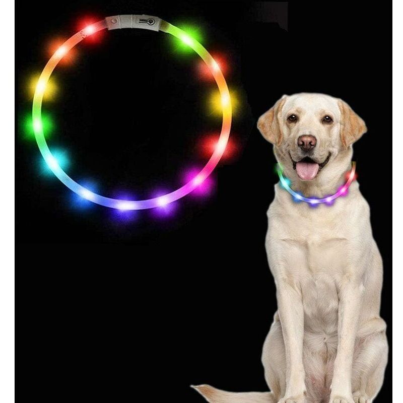 Collier Chien Lumineux, Collier pour Chien Rechargeable par USB, LED