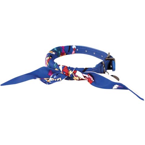 Collier chien So Chic Doogy Glam' Bleu : T35