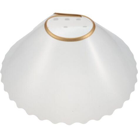 Collier Conique Élisabéthain Transparent Ajustable pour Chat et Chien Taille L Léger Protection Postopératoire Convalescence