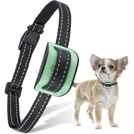 Collier de chien qui aboie